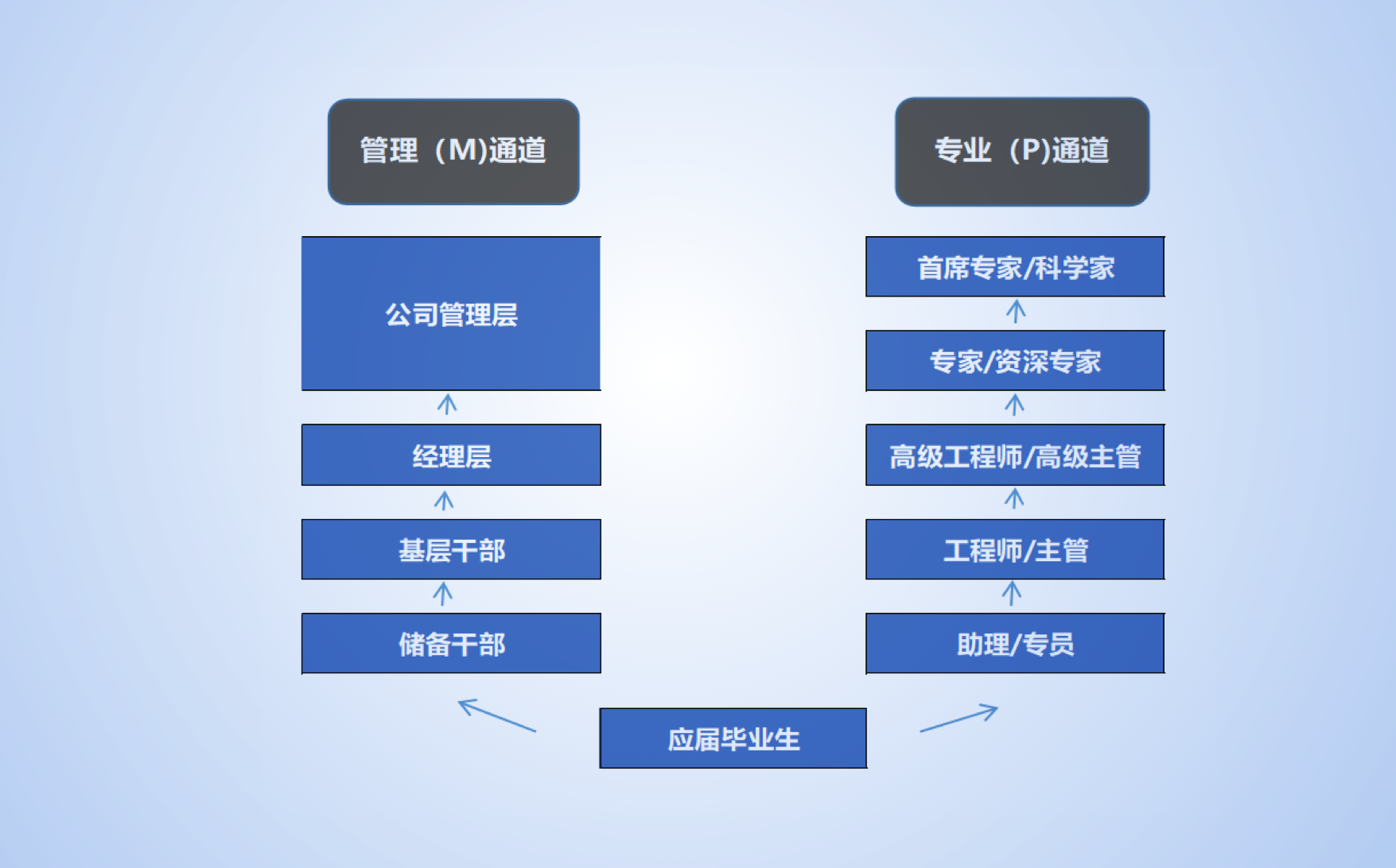 尊龙凯时软件招聘精英
